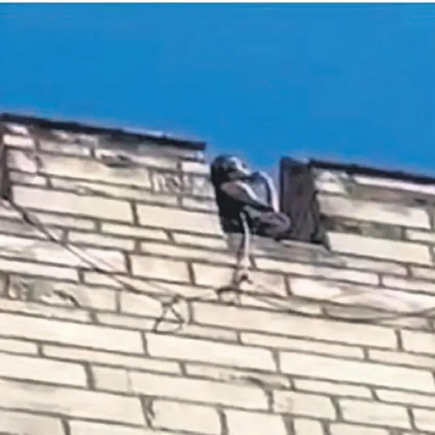 Bu soyadı istemiyoruz