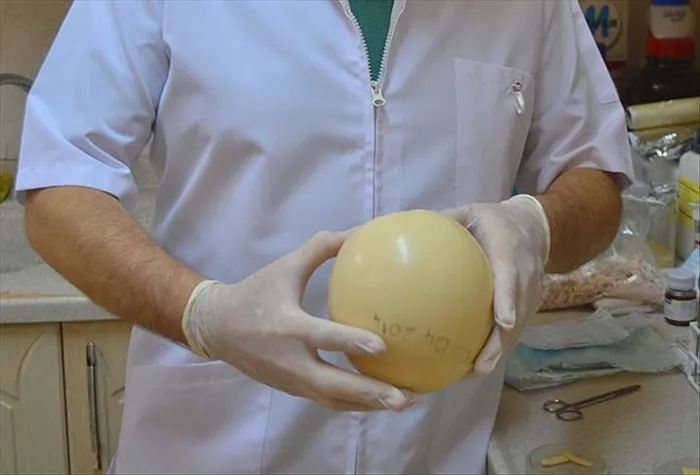 mimar-sinan-ve-ibn-i-sinanin-muhtesem-dedigi-besin-tam-bir-kalsiyum-deposu-1703162004854.jpg Mimar Sinan ve İbn-i Sina'nın muhteşem dediği besin! Tam bir kalsiyum deposu-3