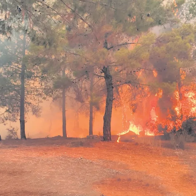 25 bin futbol sahası kadar orman kül oldu