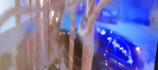 Cip kafeye daldı !