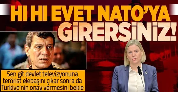 NATO’yu böyle rüyanızda görürsünüz! İsveç devlet televizyonunda YPG/PKK elebaşı Ferhat Abdi Şahin ile röportaj!