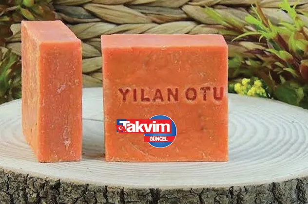 Yılan otu sabunu faydaları nelerdir? Yılan otu sabunu hangi cilt tiplerinde kullanılır? Yılan otu sabunu ne işe yarar?
