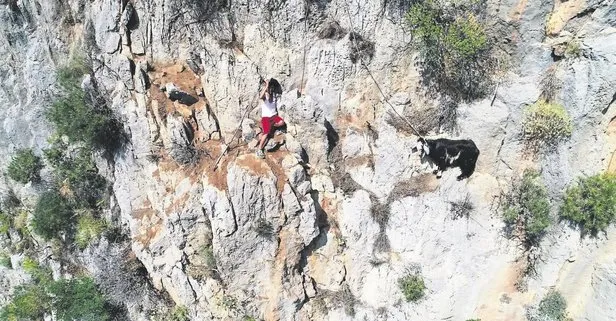 Keçi inadı