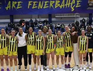 Dişi Kanarya farklı galip