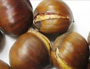 Kestanenin Faydaları