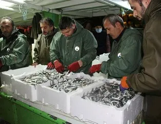 Av yasağı kalktı! Hamsiler tezgahlara doğru yola çıktı