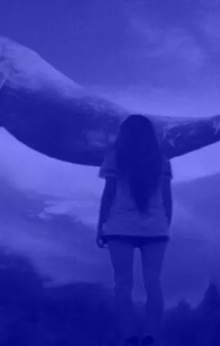 Emniyet müdürlerine "Mavi Balina" uyarısı