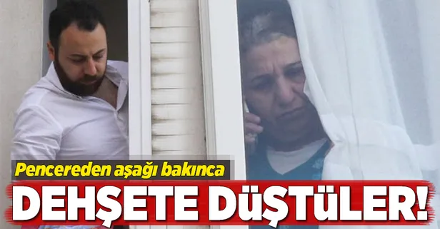 Pencereden aşağı bakınca dehşete düştüler!