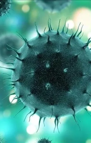 Okullar ve AVM'lerin açılması büyük risk taşıyor! Prof. Dr. Mehmet Ceyhan uyardı!