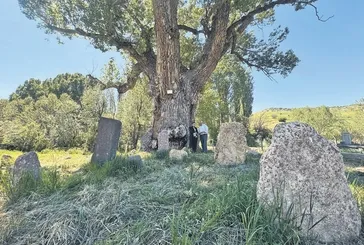 750 yıllık Karakavak’ın gölgesinde Türkler