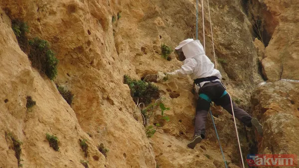 Babasından öğrendi! 150 metre yükseklikteki kayalardan topladığı balı 1000 TL'ye satıyor - 12