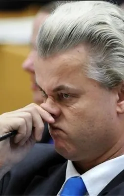 Hollandalı faşist Wilders iyice köpekleşti