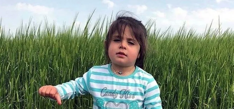 Son dakika! Leyla Aydemir olayında flaş gelişme! Küçük Leyla'nın katili bulundu mu? - 2