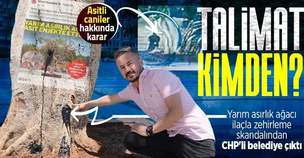 Mersin’deki kurutulan ağaçta CHP kumpası! Fondaş medyası haberini yaptı arkasından CHP’li belediye çıktı