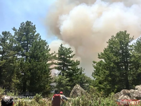Antalya Manavgat'ta yangın felaketi! Acı haber geldi: 3 kişi hayatını kaybetti - 17