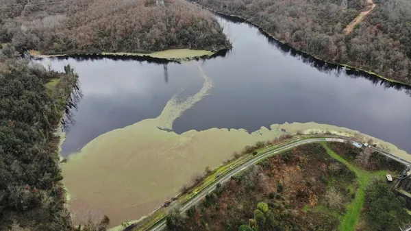 istanbulun-ihtiyacini-karsilayan-elmali-barajinda-su-seviyesi-yuzde-2423e-dustu-yesil-tabaka-kaplandi-1608534708747.jpg İstanbul'un ihtiyacını karşılayan Elmalı Barajı'nda su seviyesi yüzde 24,23'e düştü yeşil tabaka kaplandı-4