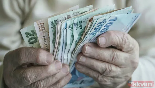 Bir kereye mahsus ödeme yatıyor! Ocak sonuna kadar yaparsanız anında maaşa ek para müjdesi! SGK ve Bağkur'lu emekliler dikkat! - 6