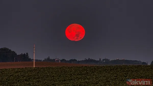 Geceyi aydınlatacak dolunay geliyor! Şubat Ayı Dolunayı tarihi ve burçlara etkisi - 5