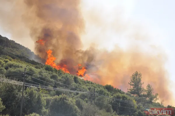 Marmaris'teki yangını '2 çocuk çıkardı' şüphesi: İfadeleri pedagog eşliğinde alınacak - 24