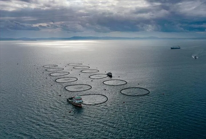 Balıkçılık rekor kırdı