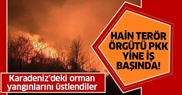 Karadeniz’deki orman yangınlarını terör örgütü PKK üstlendi!