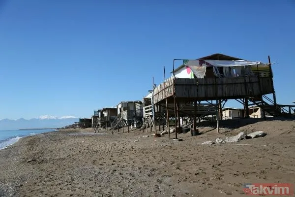Antalya Aksu Kumköy Sahili'nde doğa katliamı! Kaçak barakalar yüzünden caretta carettaların yumurtalarının yüzde 56,9'u bozuk çıktı - 8