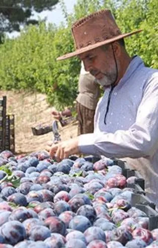 Hobi olarak Japon eriği üretti! Şimdi paraya para demiyor...