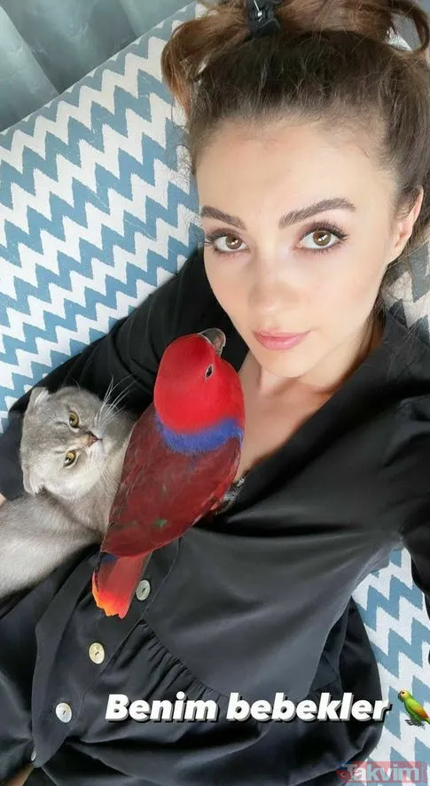 Burcu'nun kuşu bulundu! Günlerdir yana yakıla Lucy'i arayan Burcu Özberk'in adı Galatasaraylı Nicolo Zaniolo'yla anılıyordu - 2