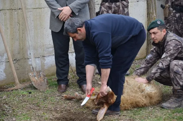Özel harekat polisleri Afrin'e dualarla uğurlandı-10