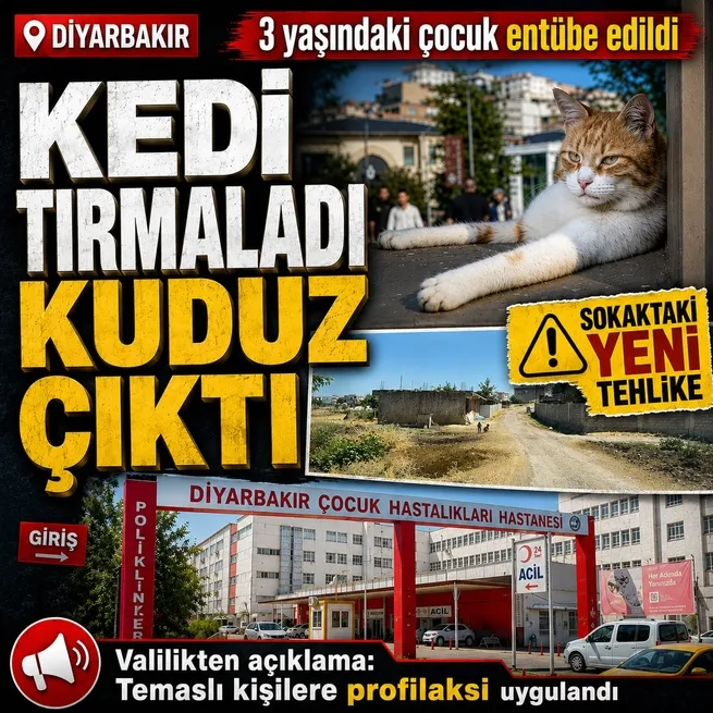 Kedi tırmaladı, aylar sonra kuduz çıktı! Diyarbakır’da 3 yaşındaki çocuk entübe edildi