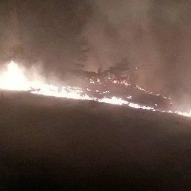 Muğla’da orman yangını!