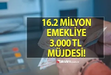 Dilekçe için son 11 gün kaldı! 16.2 milyon emekliye 2-4-5-6 Nisan’da 3.000 TL müjdesi! Hesaplar parayla dolup taşacak