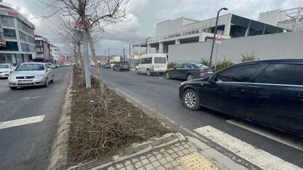 istanbul-arnavutkoyde-refujdeki-demir-ferforje-citler-calindi-1648104025483.jpg İstanbul Arnavutköy'de refüjdeki demir ferforje çitler çalındı-6