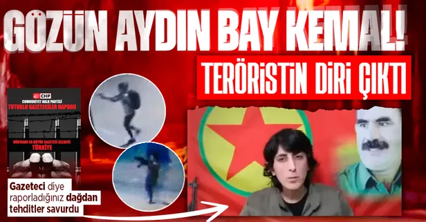 CHP'nin 'gazeteci' diye sahip çıktığı terörist Zozan Tolan kod Dilşah Ercan diri çıktı! Dağdan tehditler savurdu