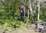 Bursa'da alkol masasında silahlı kavga!