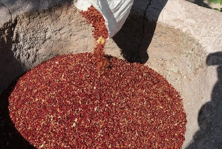 Bir tutam sumak diyabeti önler