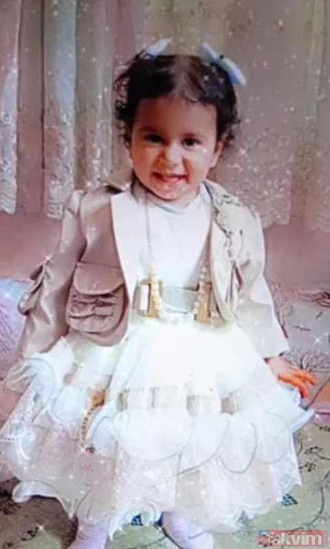 10 köpeğin saldırısına uğradı! 2 yaşındaki Rana hayatını kaybetti! Soruşturma başlatıldı - 4