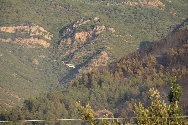 Türkiye'de peş peşe orman yangınları! Başkan Erdoğan açıkladı: 5 il Genel Hayata Etkili Afet Bölgesi ilan edildi-9