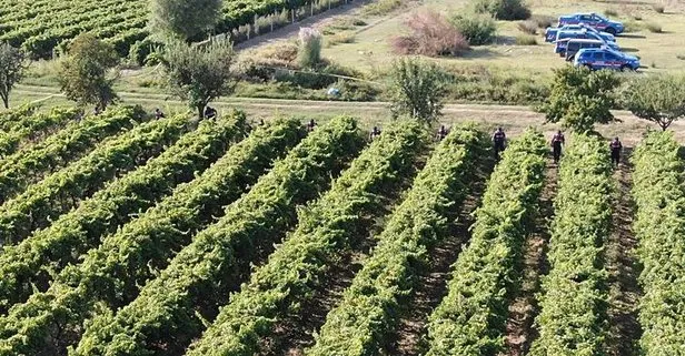 Manisa’da üzüm bağında cinayet! Çiftçi öldürüldü: 2 şüpheli tutuklandı