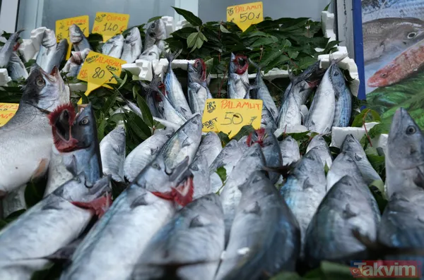 Denizden palamut fışkırdı! Tanesi 20 liraya düştü! Vatandaşın ve esnafın yüzü gülüyor - 10