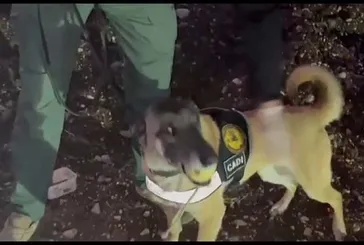 Adıyaman’da uyuşturucu operasyonu