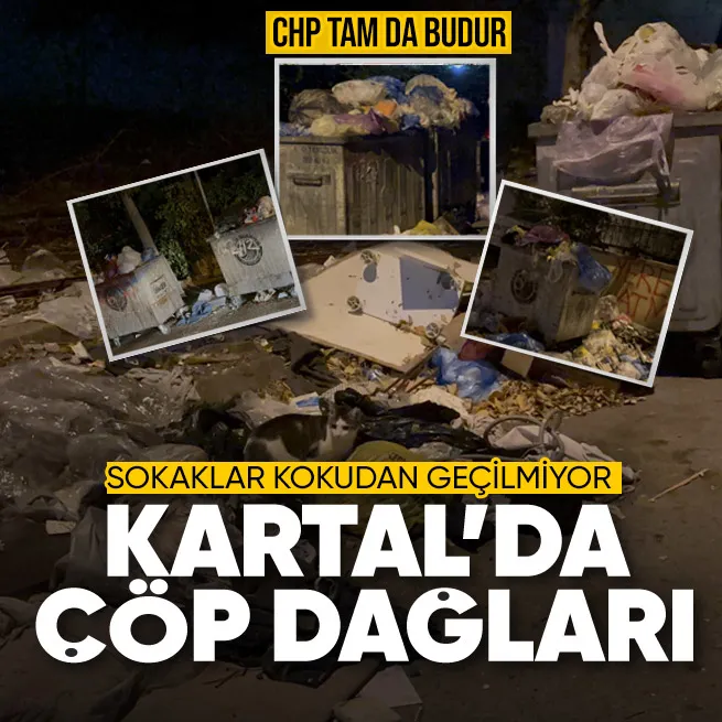 Kartalda kronik çöp sorunu devam ediyor! Konteynerler taştı