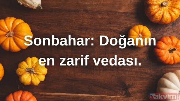 🔸Sonbahar: Doğanın En Zarif Vedası. (Kaynak: Takvim Foto Arşiv, Yapay Zeka)