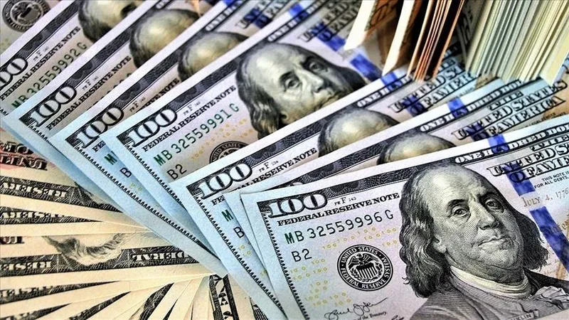 Merkez Bankası rezervlerinde 2 milyar 682 milyon dolar artış: 152,9 milyar dolar oldu-3