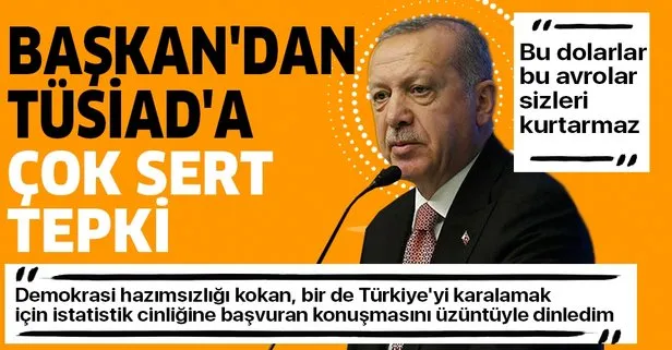 Son dakika... Başkan Recep Tayyip Erdoğan’dan, TÜSİAD YİK Başkanı Tuncay Özilhan’a çok sert tepki