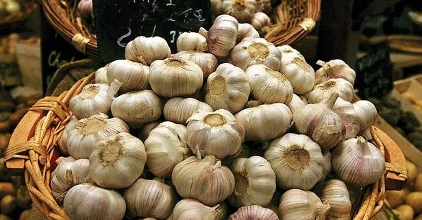 Dis Agrisina Sarimsak Takvim
