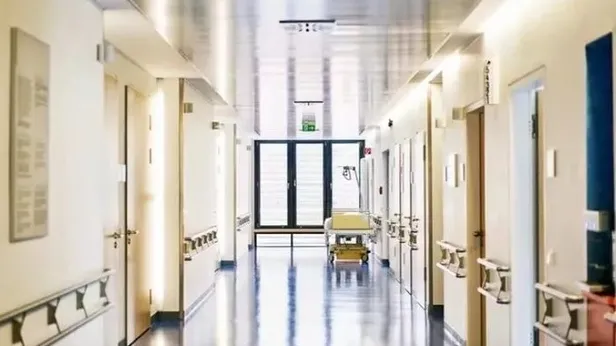 İŞKUR'dan hastanelere personel alımı başvuru şartları merak ediliyor! İşte tüm detaylar-2