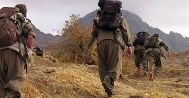 PKK’da çözülmeler devam ediyor! Van’da 2 terörist güvenlik güçlerine teslim oldu