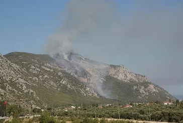 Milas’ta orman yangını!