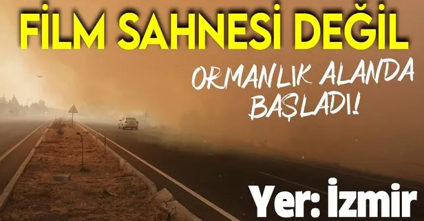 Son dakika: İzmir Aliağa’da orman yangını